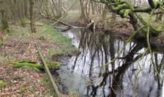 Moorkanal und ehemalige Torfbahn