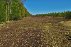 Torfabbau im Großen Moor