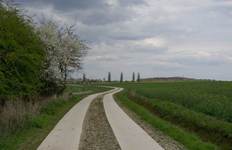 Im Rahmen der Flurbereinigung ausgebauter Feldweg im Landkreis Peine