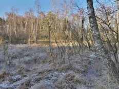 Das Vogelmoor im Winter.