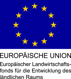 Logo EU