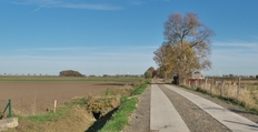 Von der Teilnehmergemeinschaft im Rahmen der Flurbereinigung ausgebauter Feldweg.