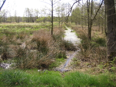 Das Vogelmoor in der Gemarkung Barwedel