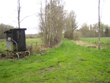 Vogelmoor
