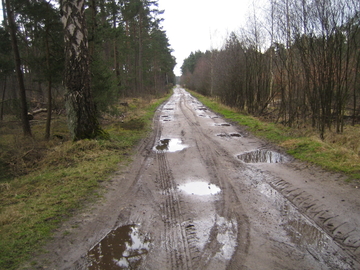 Vogelmoor