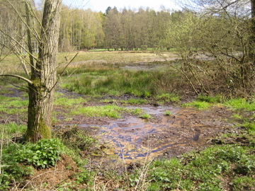 Vogelmoor