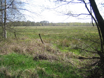 Vogelmoor
