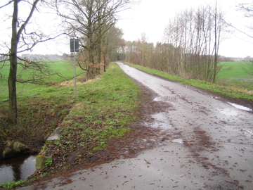 Vogelmoor