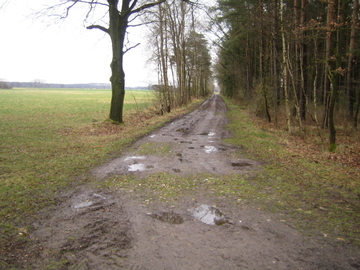 Vogelmoor