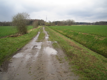 Vogelmoor