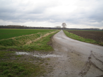 Vogelmoor
