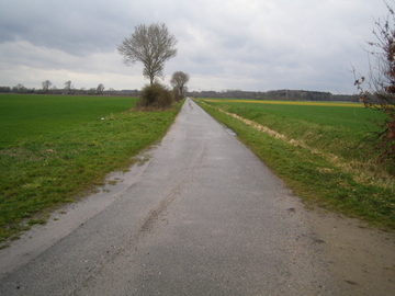 Vogelmoor