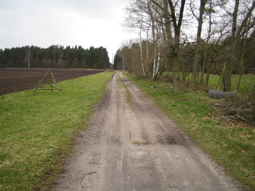 Vogelmoor