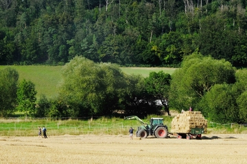 Auf einem Weizenfeld werden Strohballen gepresst.