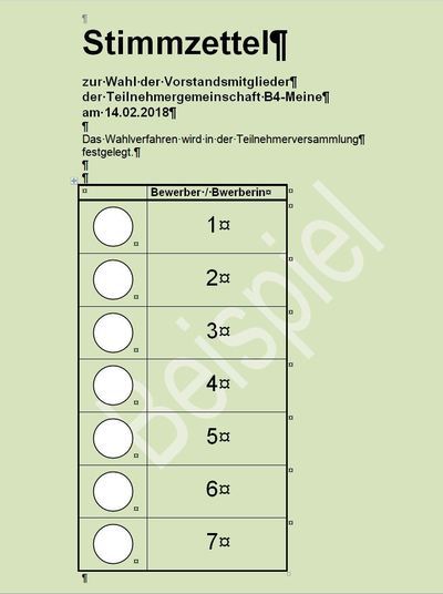 Stimmzettel (Beispiel)