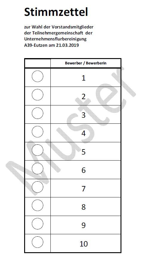 Stimmzettel (Muster)