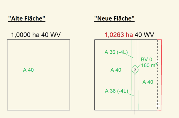 Grafik 4: Im Gegensatz zur alten Fläche ist die neue Fläche mit einer Stromleitung (Überspannung und Mastenstandort belastet). Zur Herstellung der Wertgleichheit ist die neue Fläche 0,0263 ha größer als die alte Fläche.