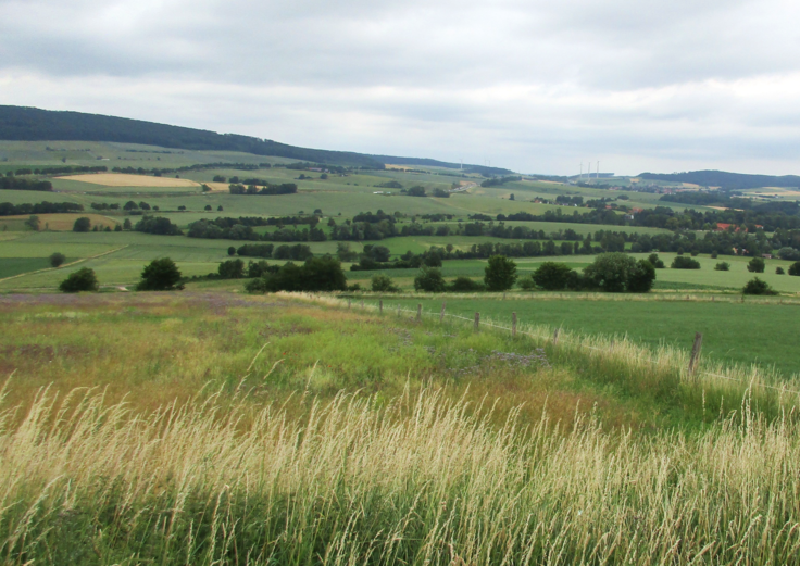 Blick vom Klausberg auf die östliche Feldmark von Echte