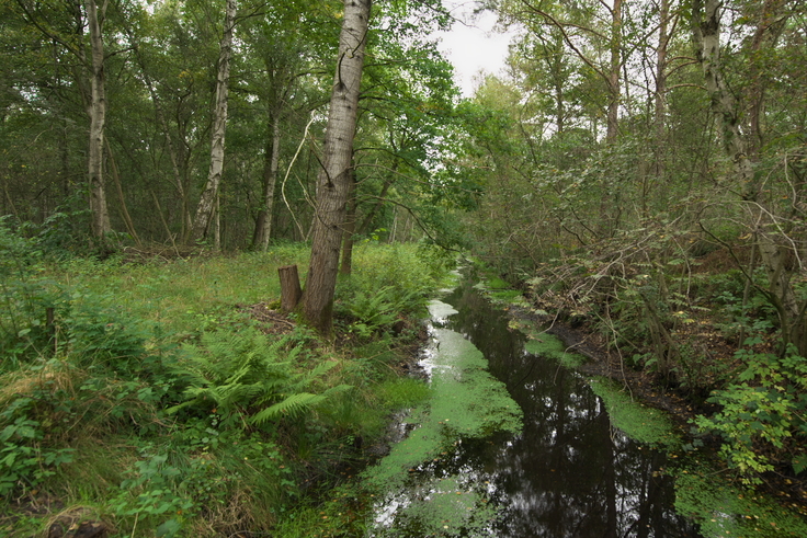 Blick von der Brücke "Westerbecker Weg" auf den Moorkanal