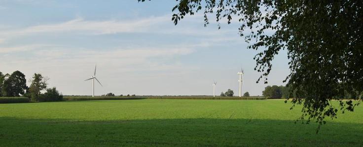 Blick vom Rodeweg in das Flurbereinigungsgebiet B4-Rötgesbüttel