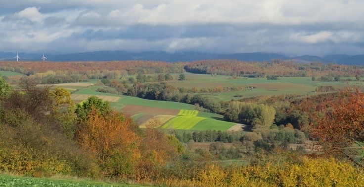 Die Gemarkung Rüdershausen und das Umland.