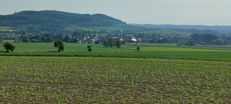 Blick auf Kalefeld von Südwest