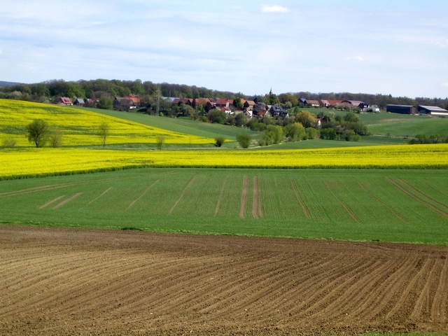 Neuenkirchen, Landkreis Goslar