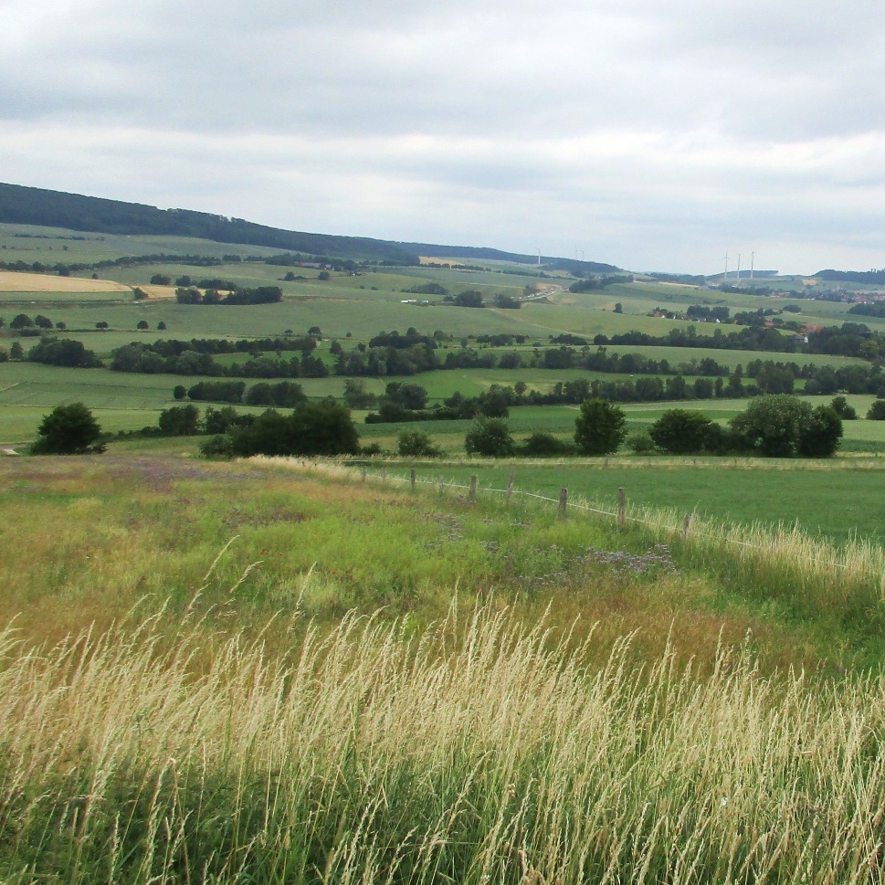 Blick vom Klausberg auf die östliche Feldmark von Echte