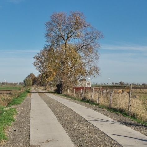 Von der Teilnehmergemeinschaft im Rahmen der Flurbereinigung ausgebauter Feldweg.