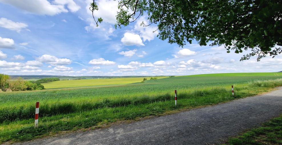Blick in die Felder bei Schöppenstedt.