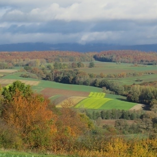 Die Gemarkung Rüdershausen und das Umland.