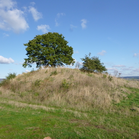 Naturdenkmal