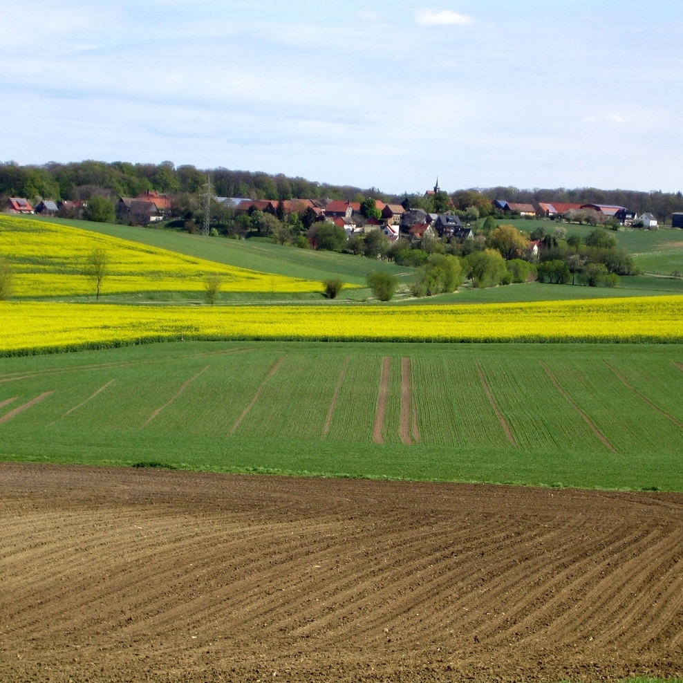 Neuenkirchen, Landkreis Goslar